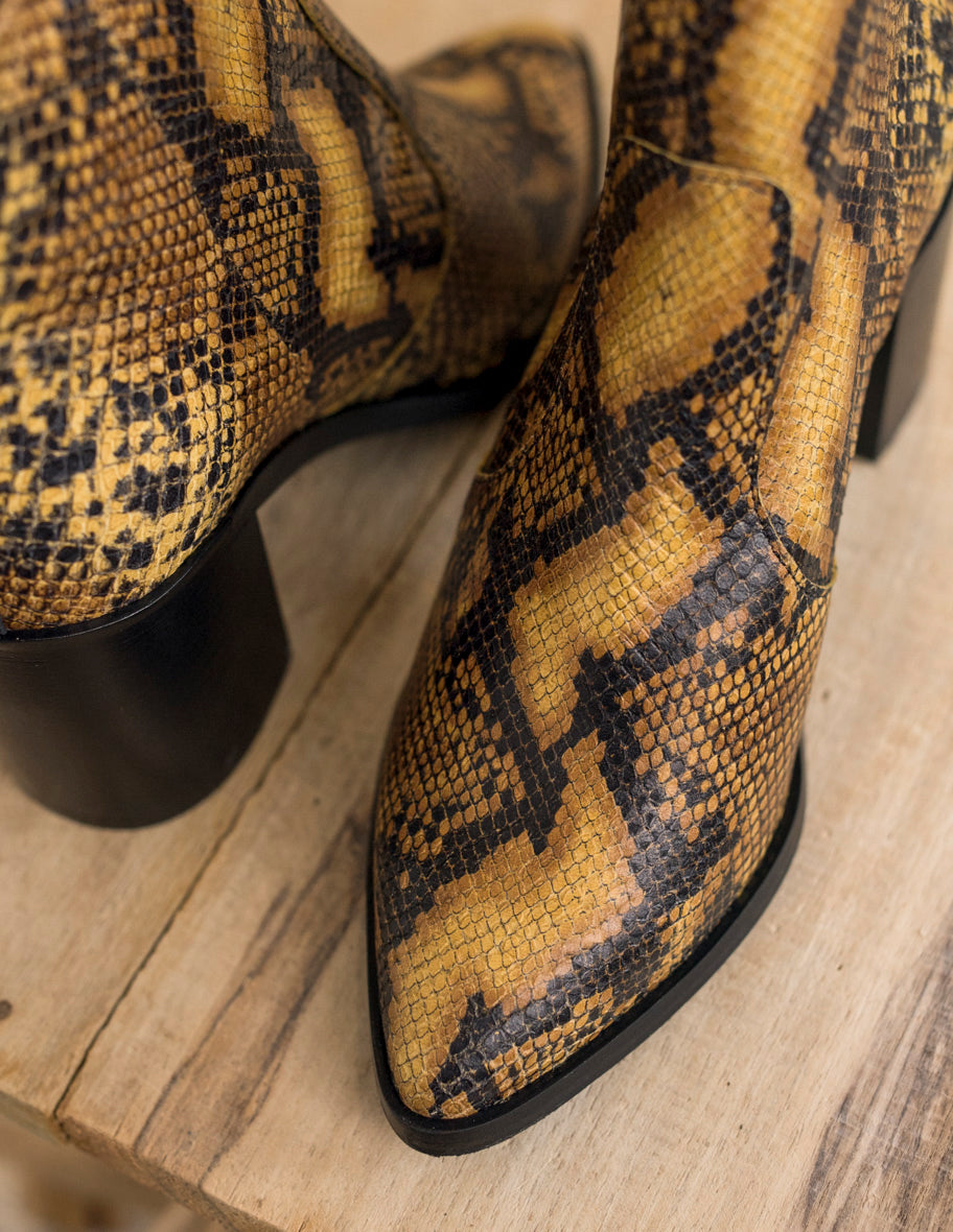 Céleste ankle boots - Cuir Python Cognac