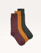 Pack of 3 Chaussettes - Chinese burgundy vert and mutarde
